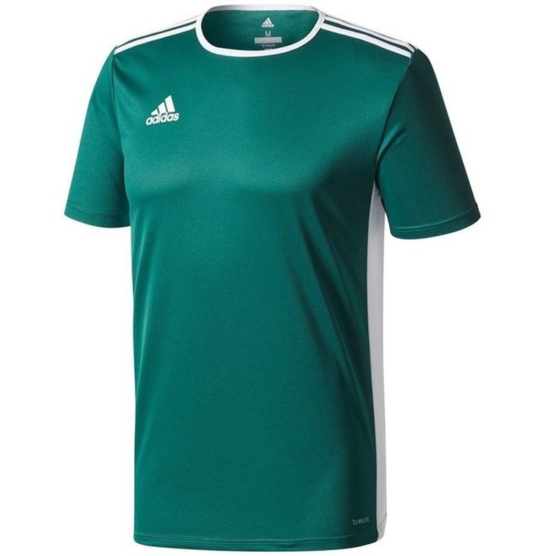 Adidas Entrada T-krekls, 18JSY, XL izmērs, zaļa krāsa