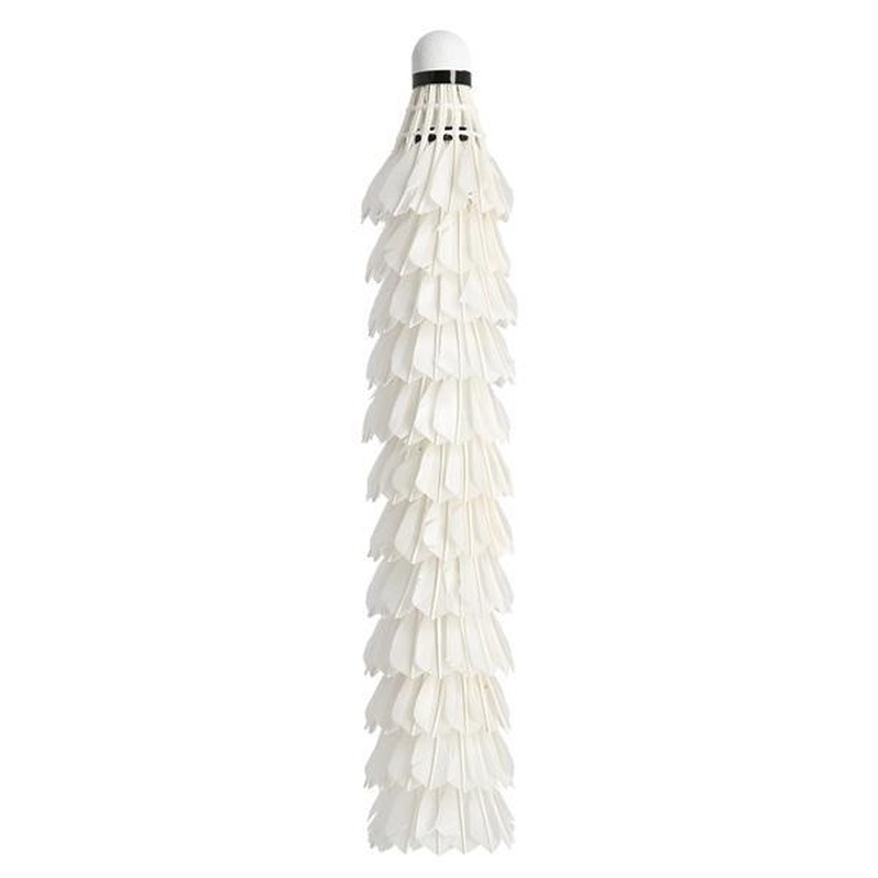 Wish PRO-808 badmintona raķete, balts spalvas svars