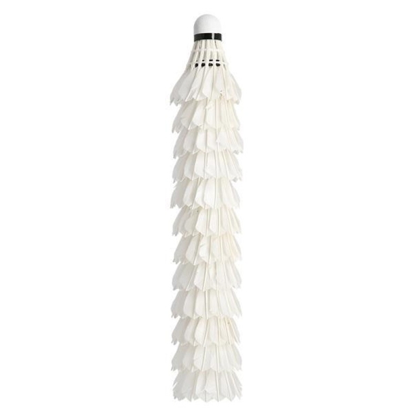 Wish PRO-808 badmintona raķete, balts spalvas svars